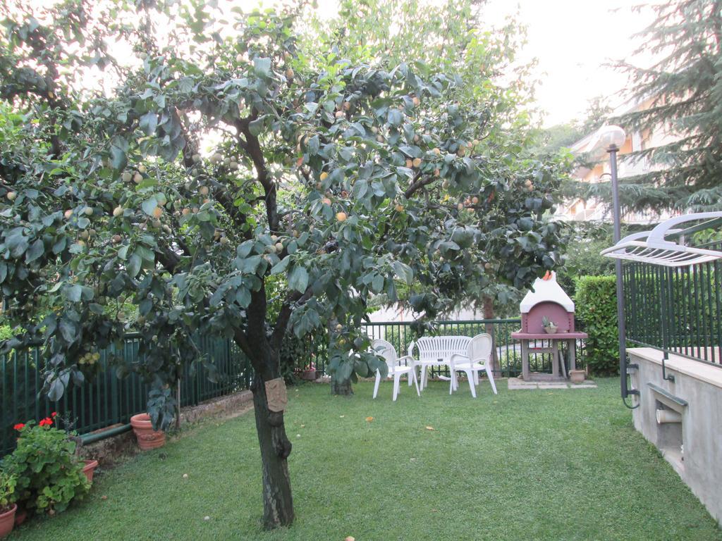 B&B Le Begonie Ascoli Piceno Zewnętrze zdjęcie