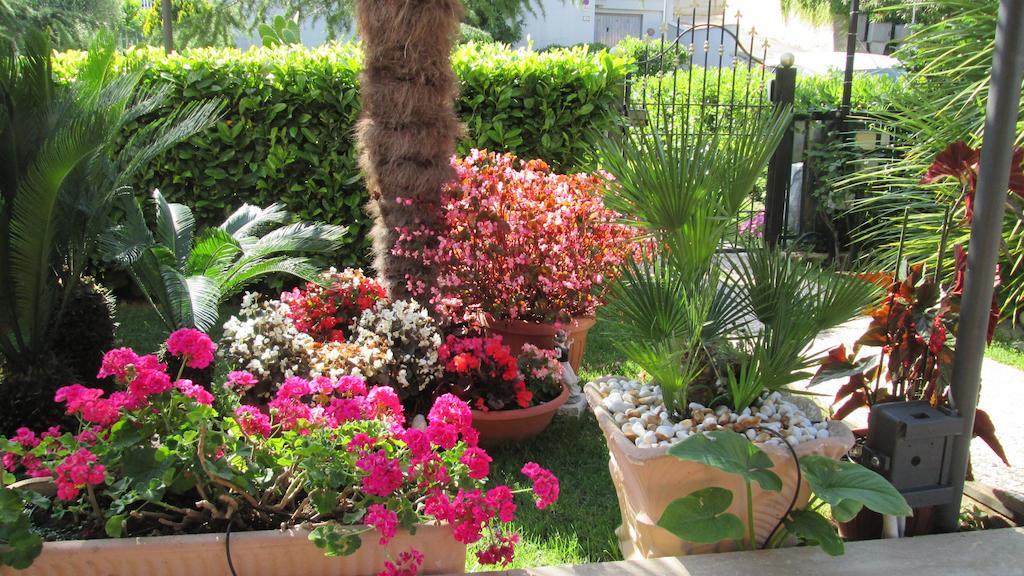 B&B Le Begonie Ascoli Piceno Zewnętrze zdjęcie
